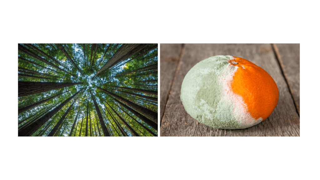 The Meaning In Colors: Part 2