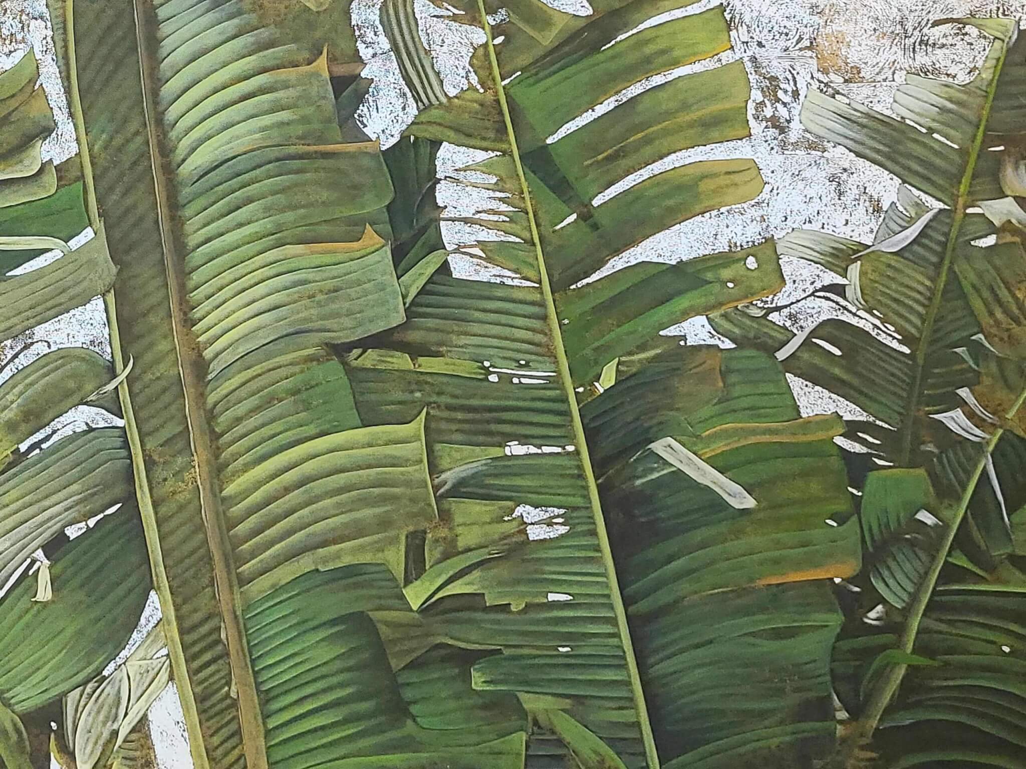 Recordaron Otra Selva, Otro Jardin, Otro Paraiso