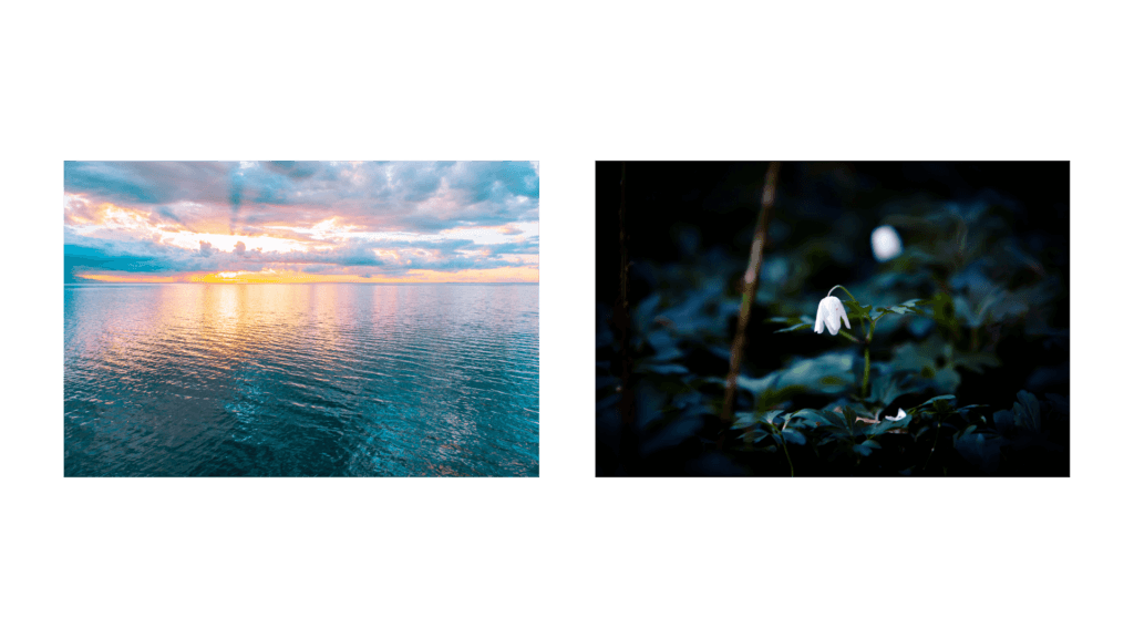 The Meaning In Colors: Part 1 3 The Meaning In Colors: Part 1