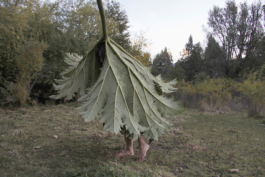 From The Series Mimicking: Summer Ii