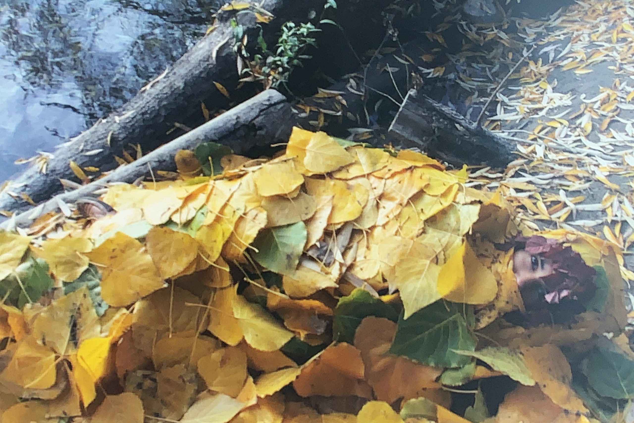 From The Series Mimicking: Autumn I