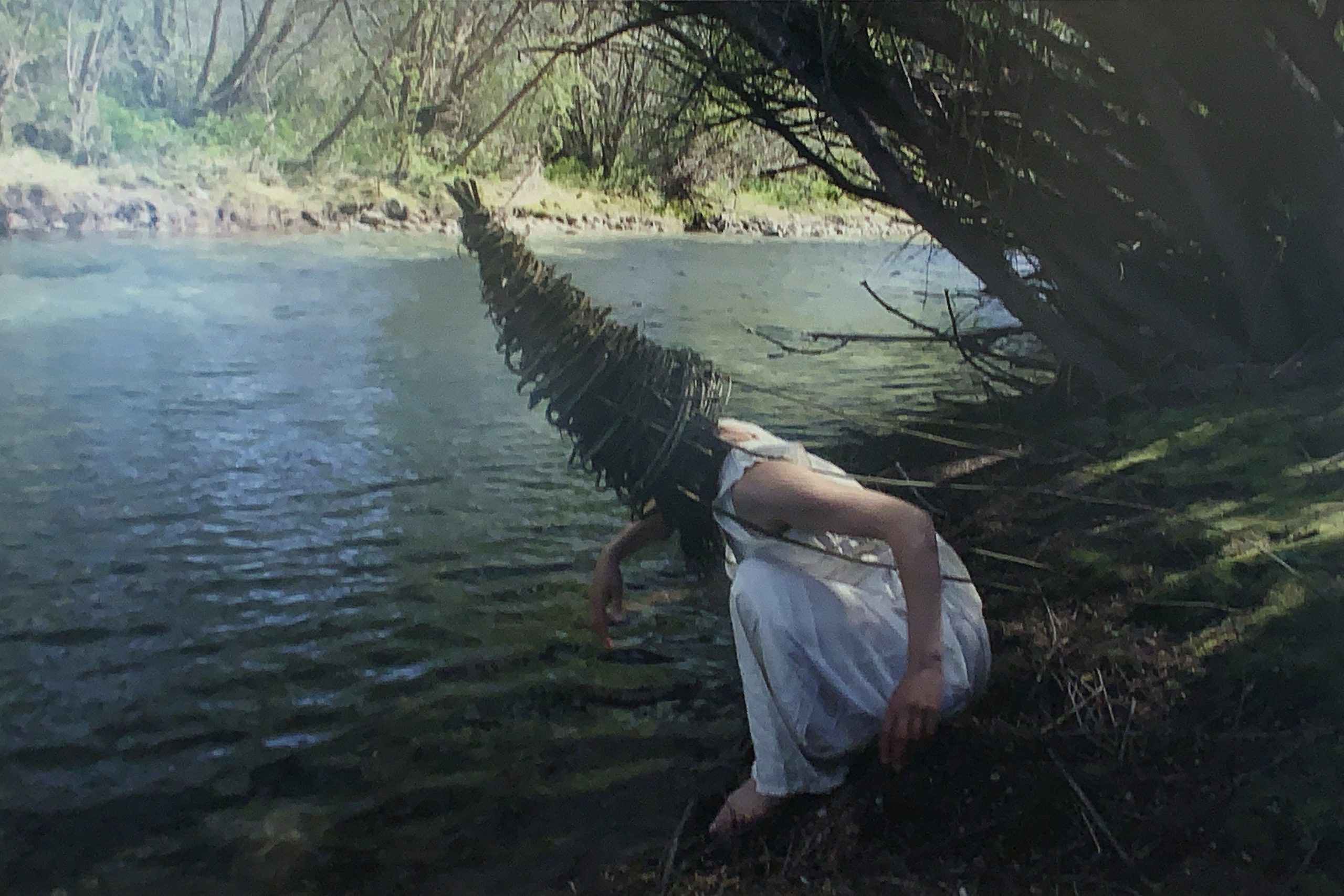 From The Series Mimicking: Spring Iv