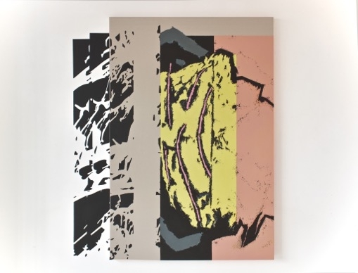 Los Limites Del Gesto Vi