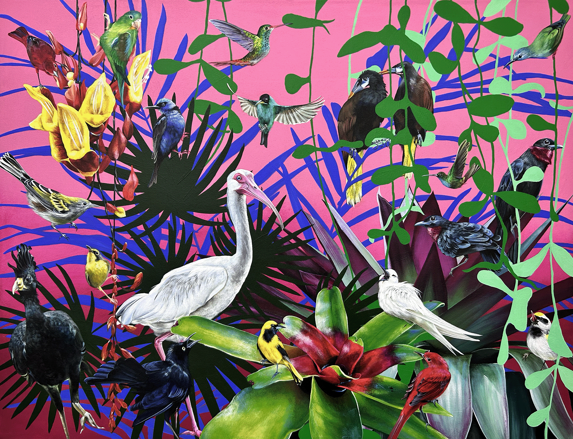 A Tropical Bird Tale