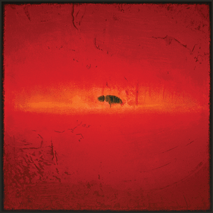 Sebastian Spreng: A Fantastic Harmony Of Art And Emotion