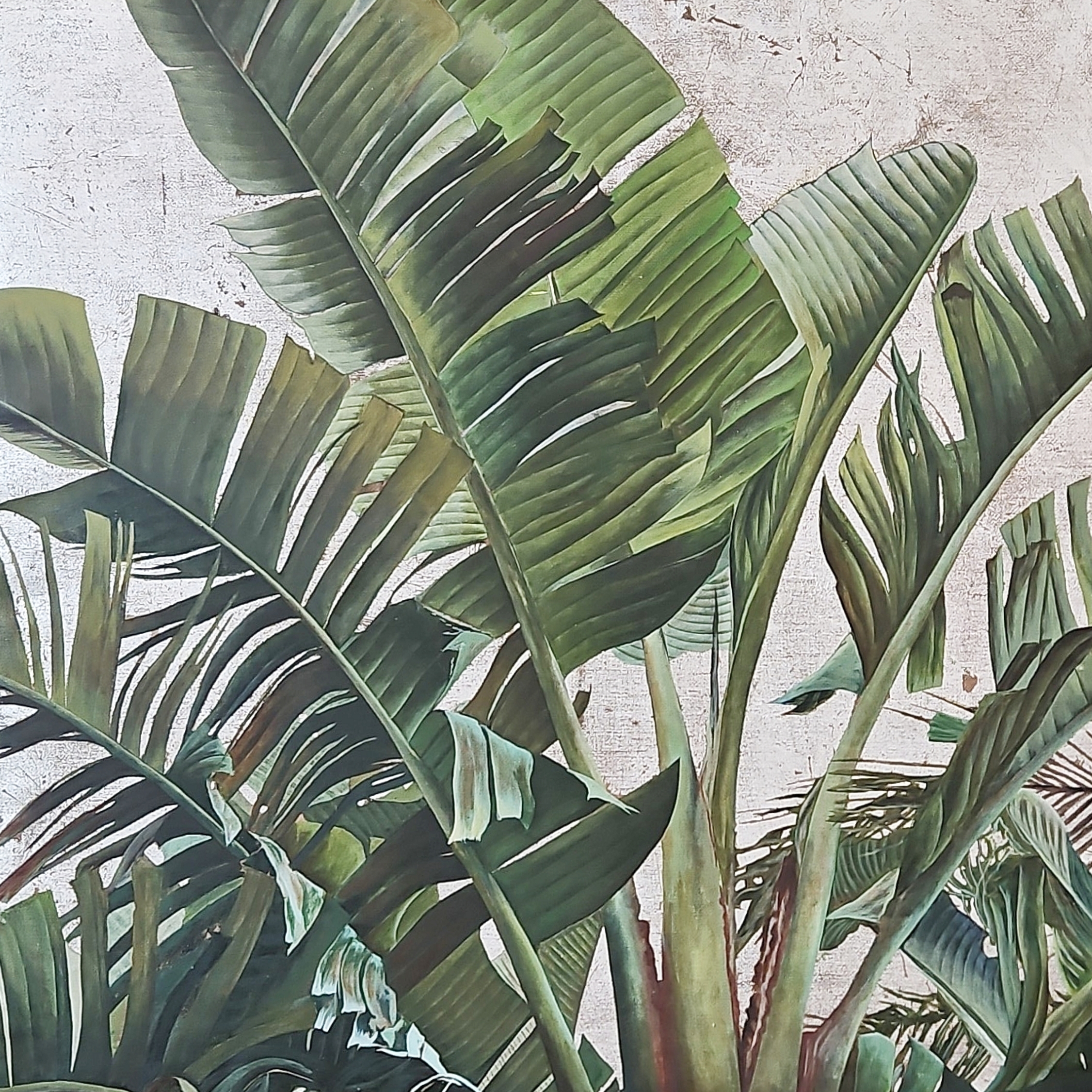 El Camino De Sombras Entre Los Follajes