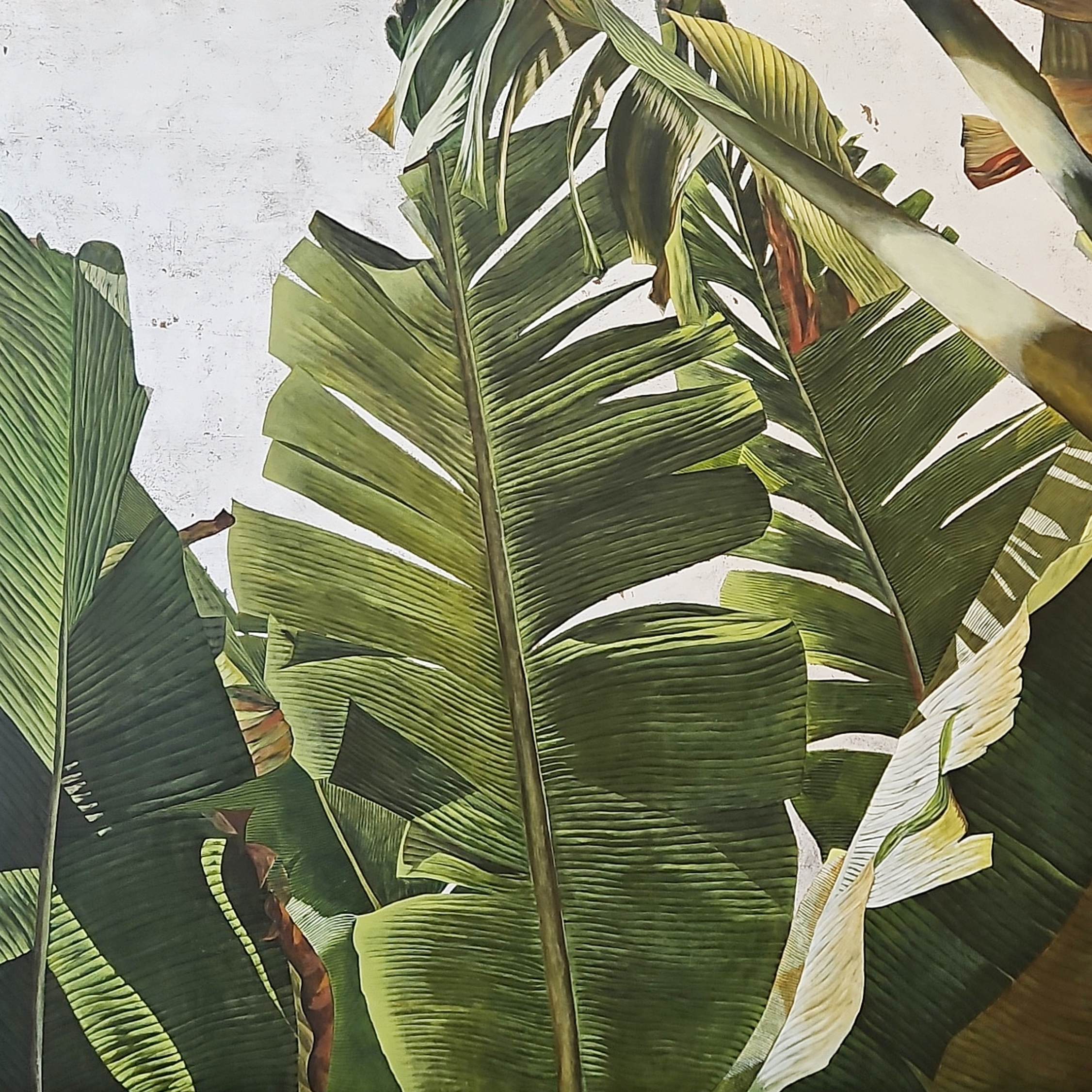 Karine Boulanger Painting Of Plants