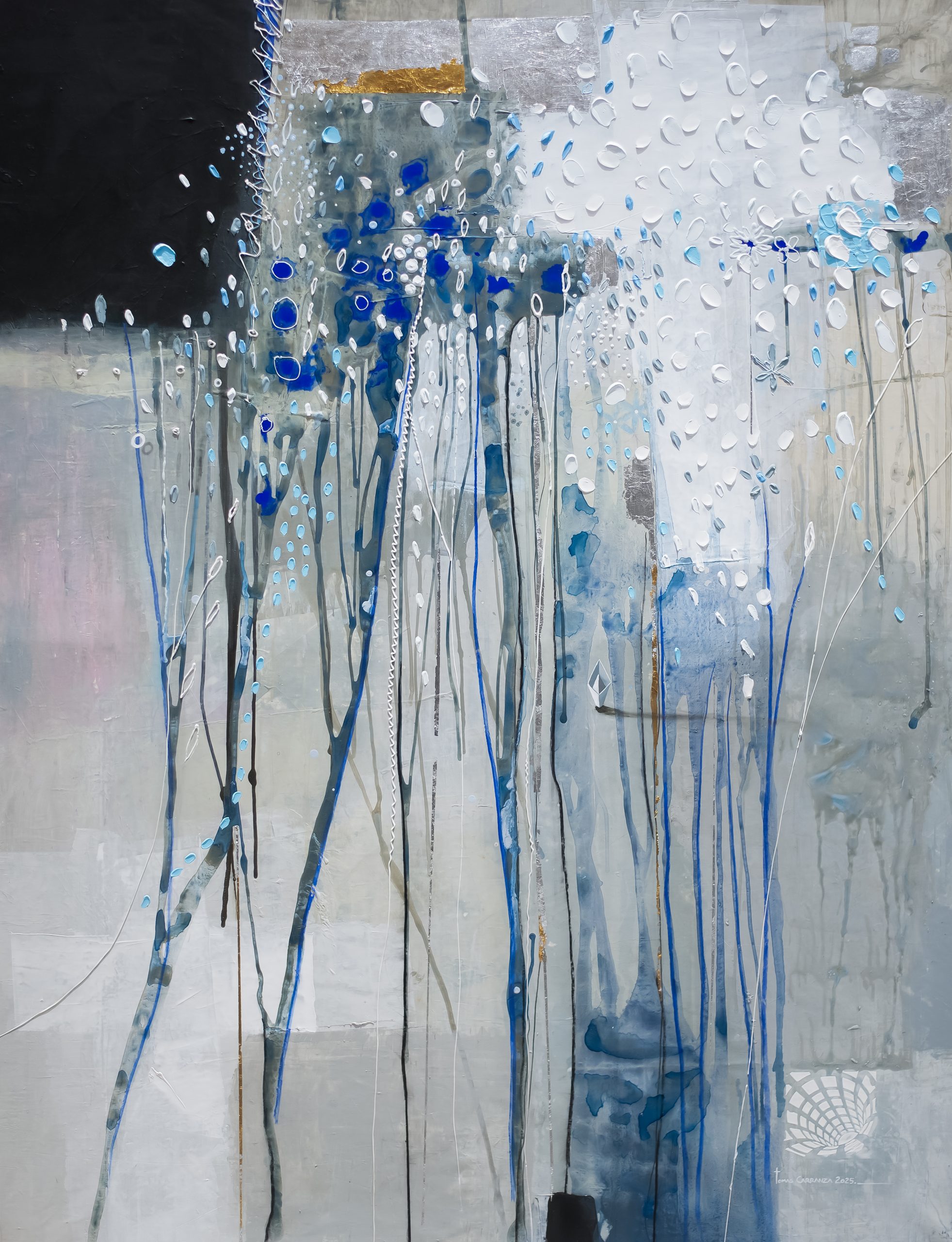 Navegando En El Bosque