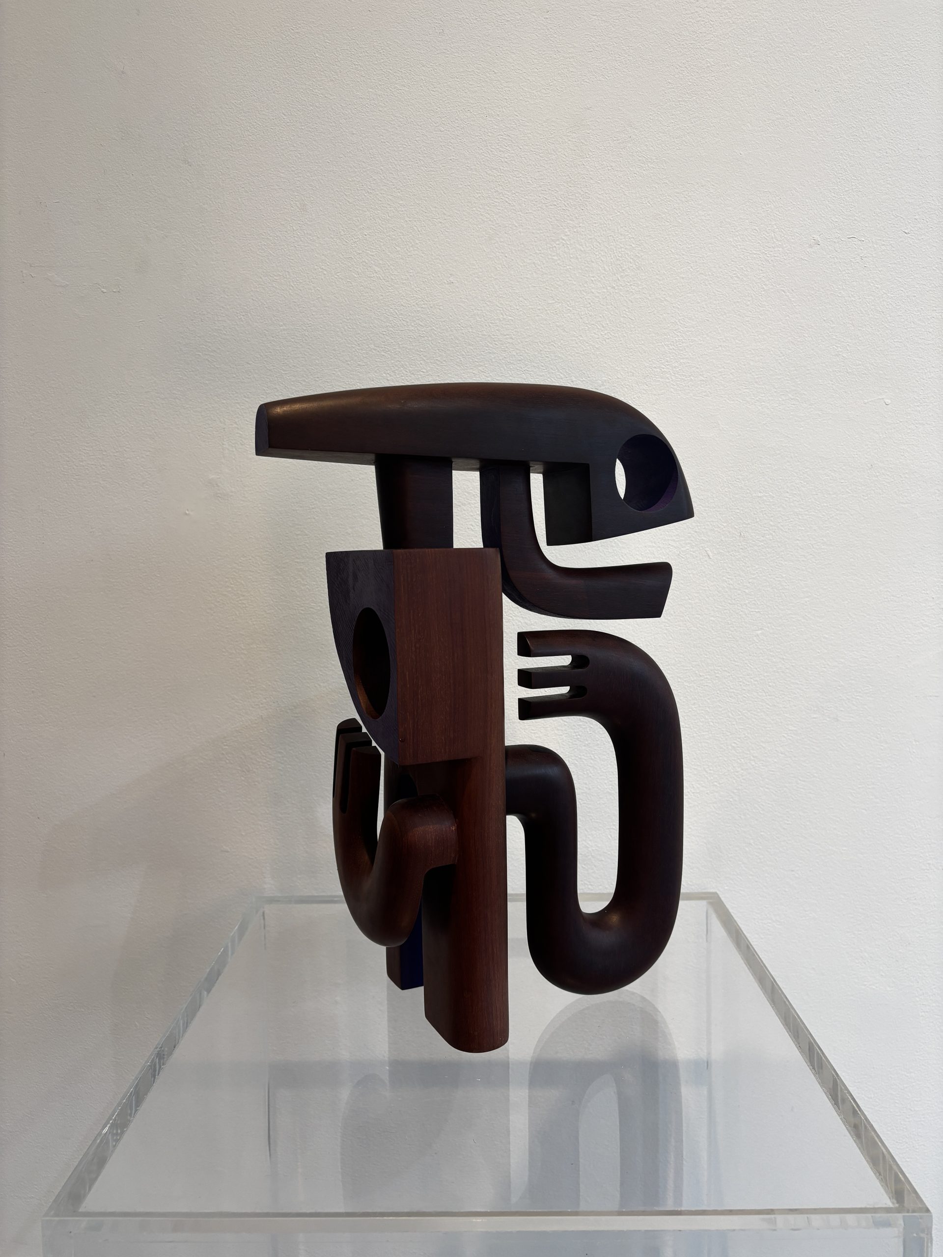 Muchacha Con Pez Xxxii